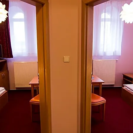 Hotell Hron 4*
