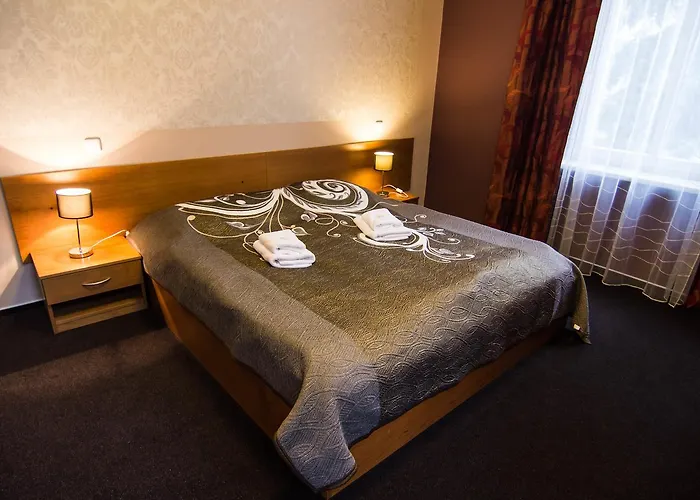 Hotel Hron 4*